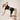 czarne legginsy biker z modalu "Black"